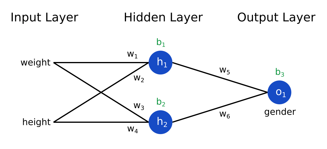 Tiny LLM Demystifies Language Models