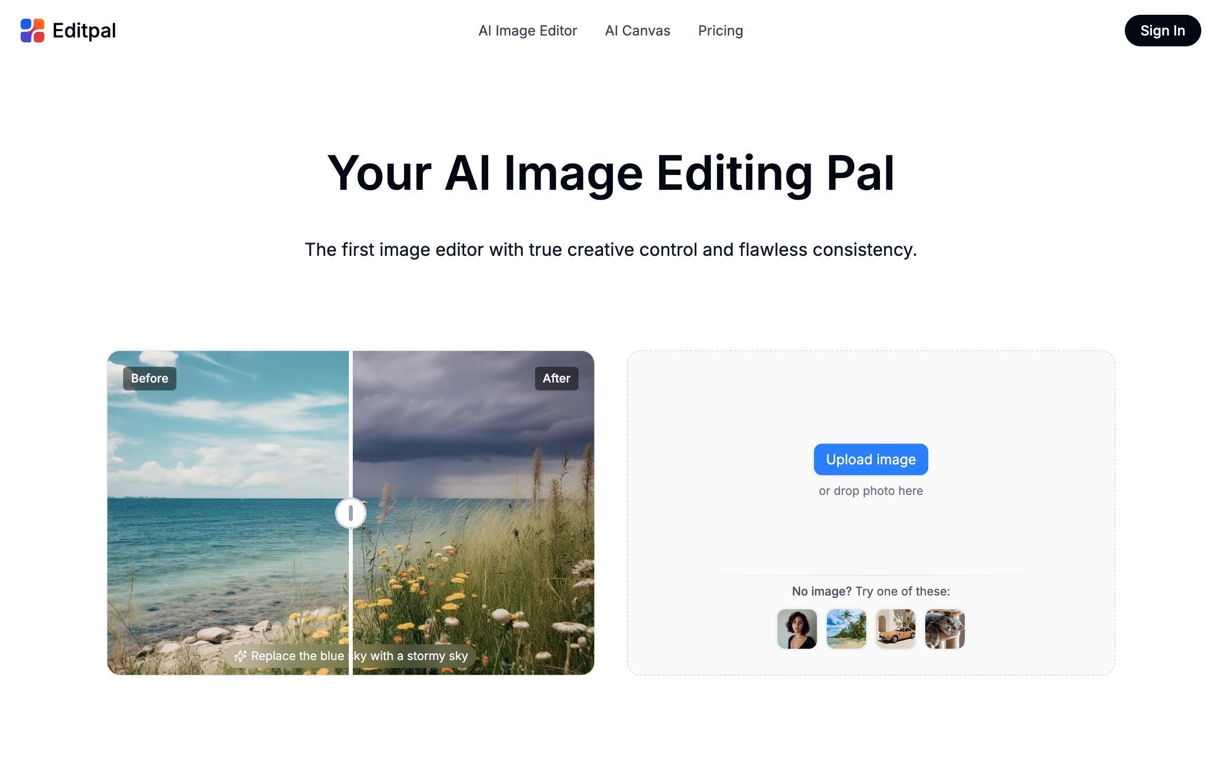 Cover image for Meet Editpal: AI Image Editing Made Simple