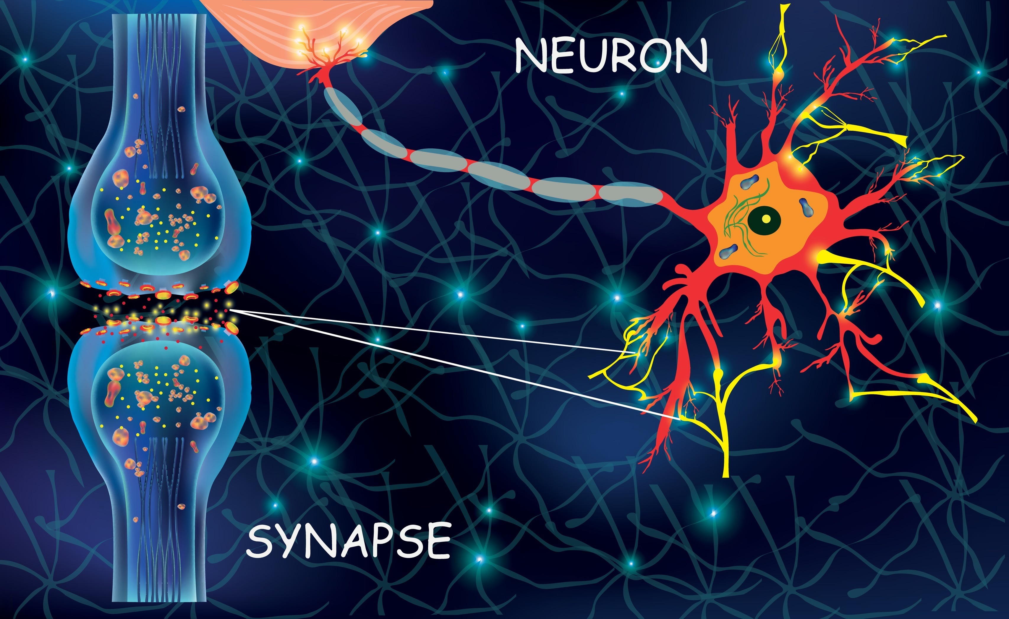 Cover image for Aspadol vs Tapaday for Pain: Dosage & Uses