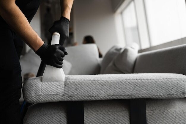 Cover image for A Complete Guide to Professional Furniture Cleaning Services