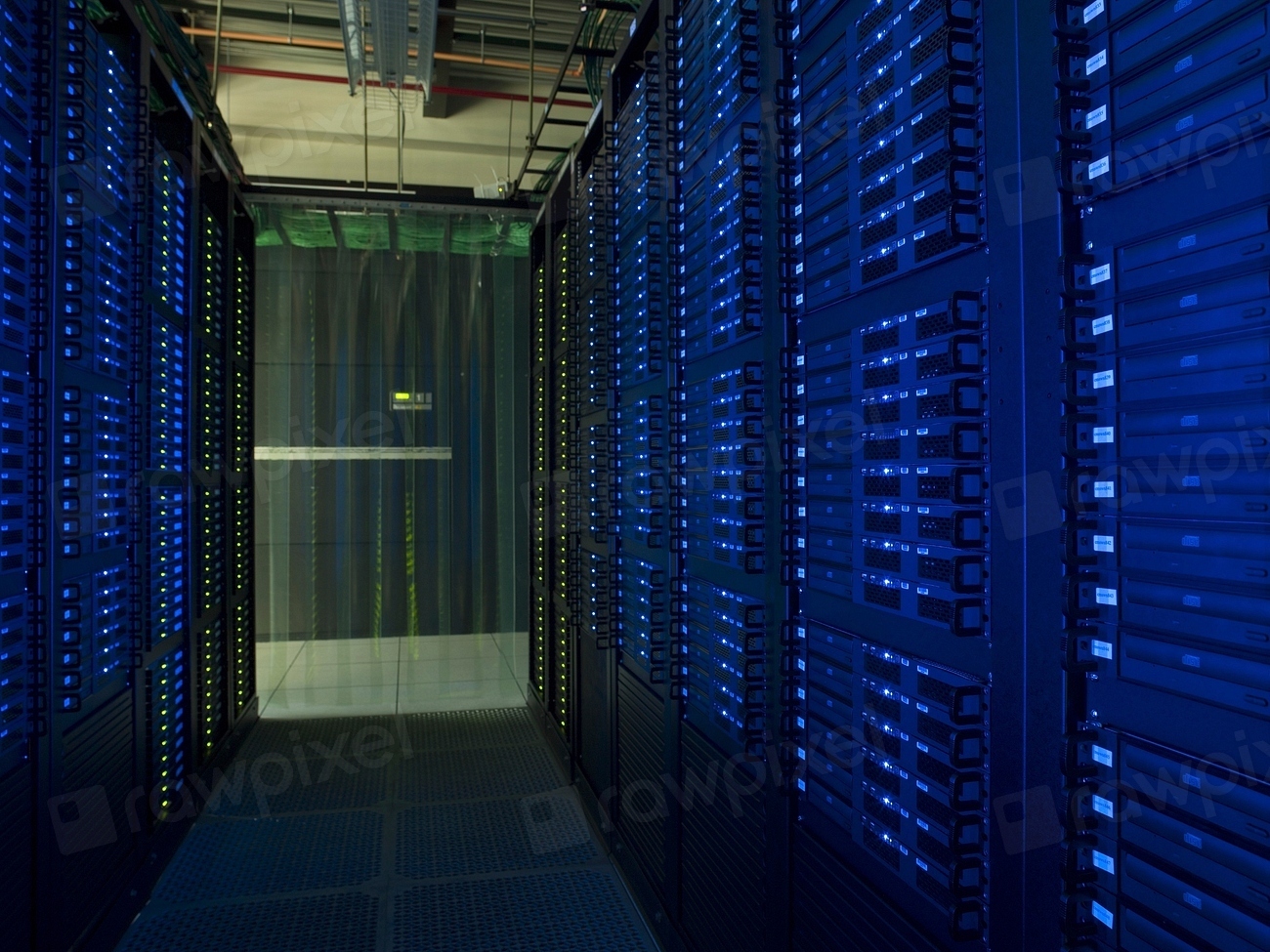 Rows of servers in a data centre lit by blue indicator lights