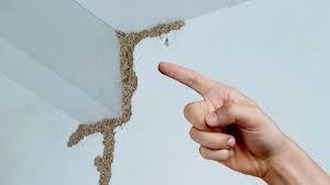 Cover image for Deemak Control in Lahore & Pest Control Services | HafizPestControl