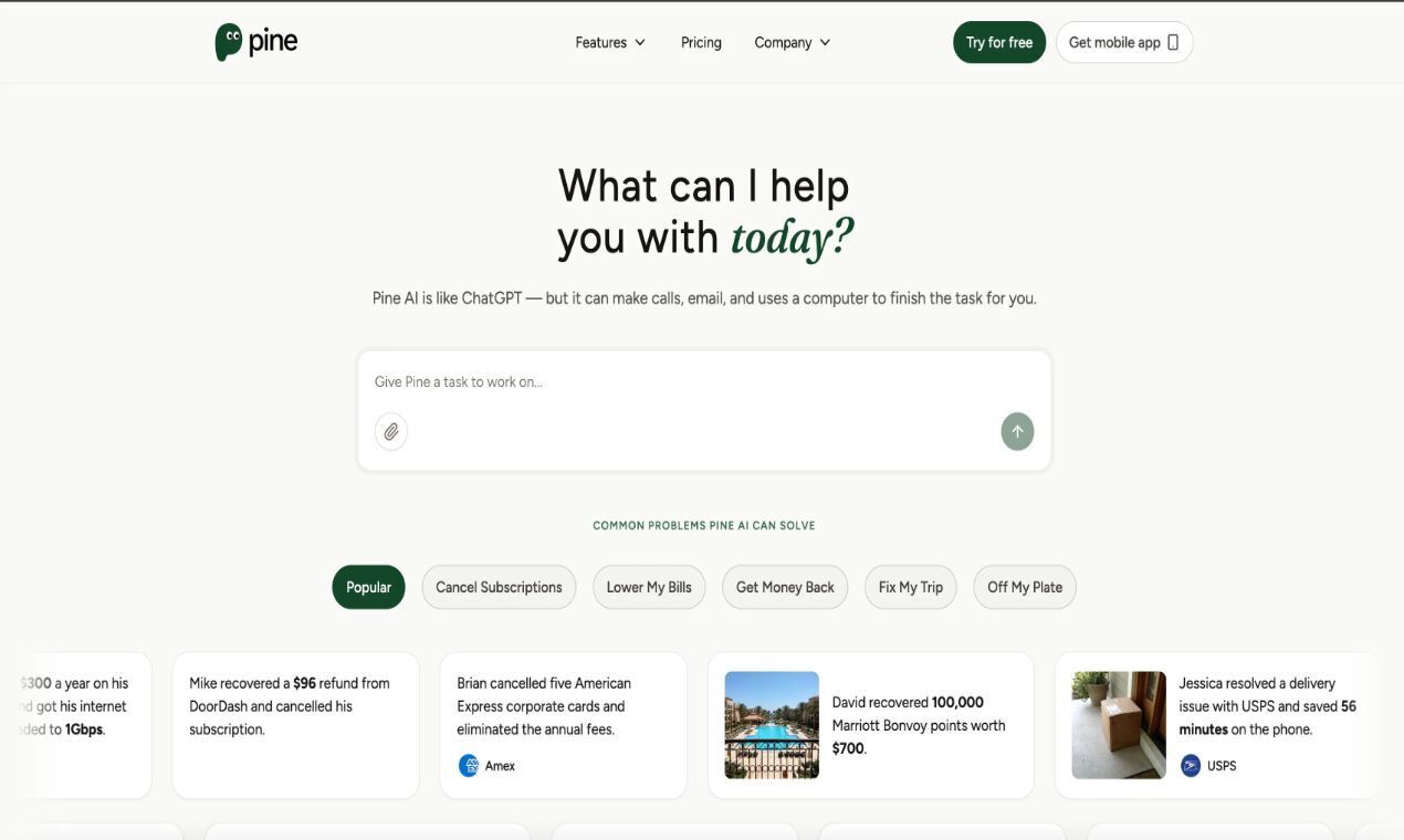 Cover image for Pine AI