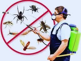 Cover image for Pest Control Services in Lahore – The Complete Solution for a Pest-Free Home and Business
