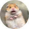 BURGER profile picture