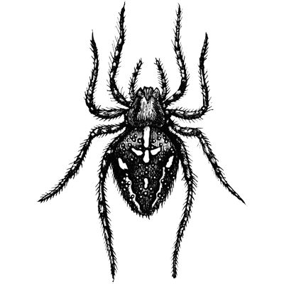 Shobrun Bagastio profile picture