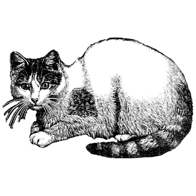 Training Tale profile picture