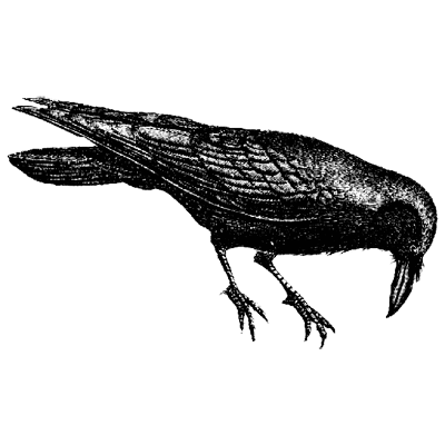 jennifersmith profile