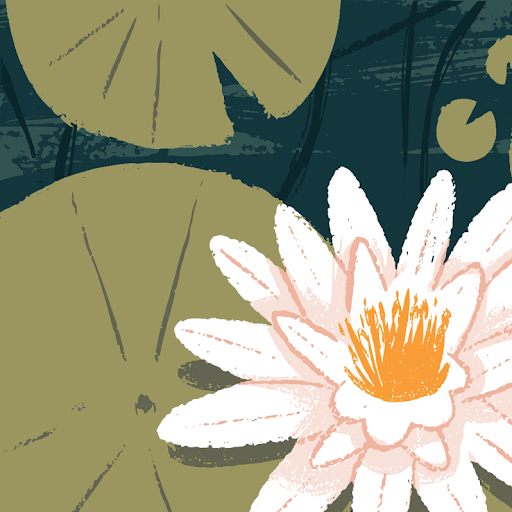 midoriko_mm_de721db4dabe4 profile