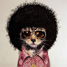 dx_p_42a4bff1cec043fb3017 profile image