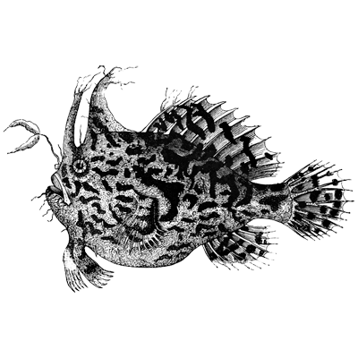 shigan12 profile